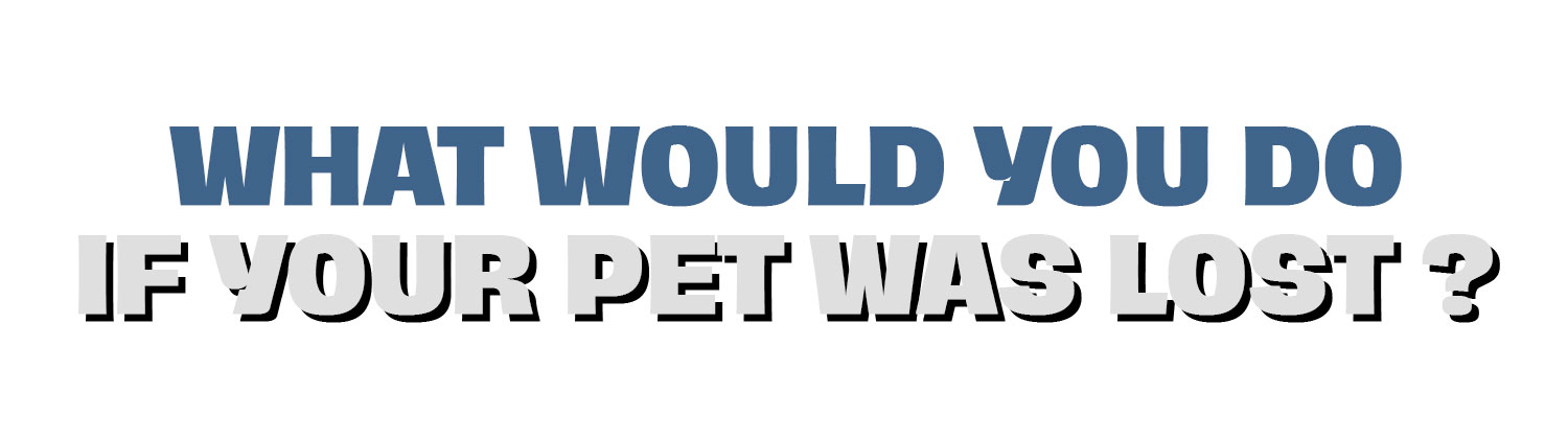 What would you do if your pet was lost?